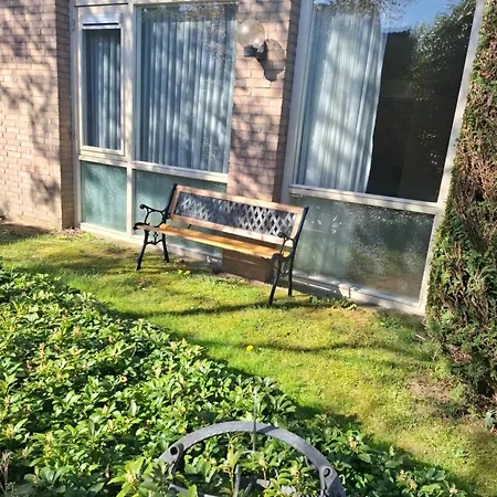 Dromen Op De Veluwe