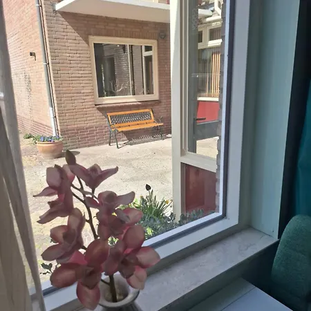 Dromen Op De Veluwe