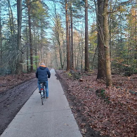Dromen Op De Veluwe Bed & Breakfast 3*